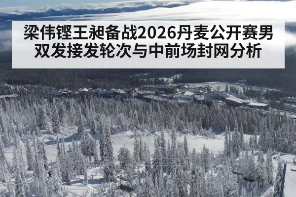 梁伟铿王昶备战2026丹麦公开赛男双发接发轮次与中前场封网分析