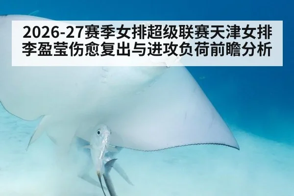 2026-27赛季女排超级联赛天津女排李盈莹伤愈复出与进攻负荷前瞻分析 | hth